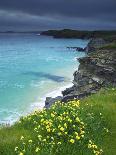 Mother Ivey's Bay, Padstow, Cornwall, England, United Kingdom, Europe-Jeremy Lightfoot-Photographic Print