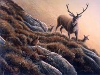 Deer and Grouse-Jeremy Paul-Giclee Print