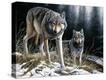 Stretched Canvas Print