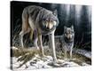Stretched Canvas Print