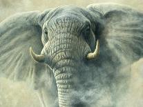 Storm Elephant-Jeremy Paul-Giclee Print