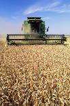 Combine Harvester Working In a Wheat Field-Jeremy Walker-Photographic Print