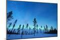 Photographic Print
