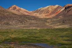 Wetland in the Atacama-JeremyRichards-Premier Image Canvas