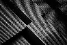 The Curved Stairs-Jeroen van de-Photographic Print