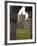 Jerpoint Abbey, County Kilkenny, Leinster, Republic of Ireland (Eire), Europe-Sergio Pitamitz-Framed Photographic Print