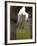 Jerpoint Abbey, County Kilkenny, Leinster, Republic of Ireland (Eire), Europe-Sergio Pitamitz-Framed Photographic Print