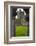 Jerpoint Abbey, County Kilkenny, Leinster, Republic of Ireland (Eire), Europe-Nico Tondini-Framed Photographic Print