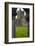 Jerpoint Abbey, County Kilkenny, Leinster, Republic of Ireland (Eire), Europe-Nico Tondini-Framed Photographic Print