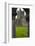 Jerpoint Abbey, County Kilkenny, Leinster, Republic of Ireland (Eire), Europe-Nico Tondini-Framed Photographic Print