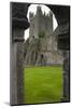 Jerpoint Abbey, County Kilkenny, Leinster, Republic of Ireland (Eire), Europe-Nico Tondini-Mounted Photographic Print