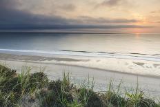 Dune Grasses at Coast Guard Beach in the Cape Cod National Seashore. Eastham, Massachusetts-Jerry and Marcy Monkman-Photographic Print