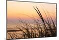 Premium Photographic Print