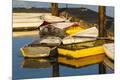 Premium Photographic Print