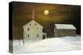 Stretched Canvas Print