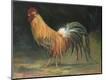 Premium Giclee Print