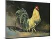Premium Giclee Print
