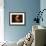 Jerry Garcia-null-Framed Premium Photographic Print displayed on a wall