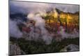 Premium Photographic Print