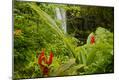 Photographic Print