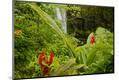 Photographic Print