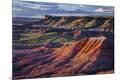 Premium Photographic Print