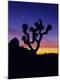 Premium Photographic Print