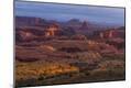 Photographic Print