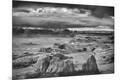 Photographic Print