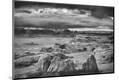 Photographic Print