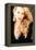 Jerry Hall Model-null-Framed Premier Image Canvas