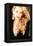 Jerry Hall Model-null-Framed Premier Image Canvas