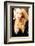 Jerry Hall Model-null-Framed Photographic Print