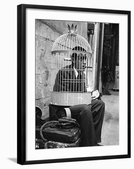 Jerry Lewis Clowning around by Wearing a Birdcage over His Head During Filming of "The Stooge"-Allan Grant-Framed Premium Photographic Print