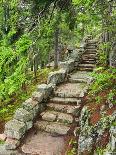 A Stone Staircase at the Thuya Gardens in Northeast Harbor, Maine, Usa-Jerry & Marcy Monkman-Photographic Print