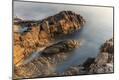 Premium Photographic Print