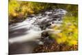 Photographic Print