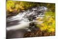 Photographic Print