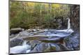 Premium Photographic Print