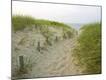 Premium Photographic Print