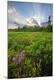 Photographic Print