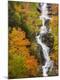 Premium Photographic Print