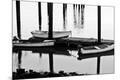 Premium Photographic Print