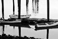 Premium Photographic Print