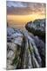 Premium Photographic Print