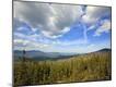 Photographic Print