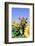 Jersey Cow-null-Framed Photographic Print