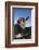 Jersey Cow-Lynn M^ Stone-Framed Photographic Print
