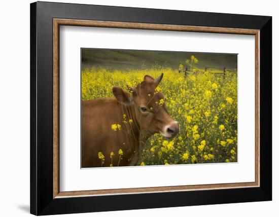 Jersey in Oregon-David Winston-Framed Giclee Print