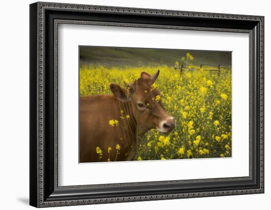 Jersey in Oregon-David Winston-Framed Giclee Print